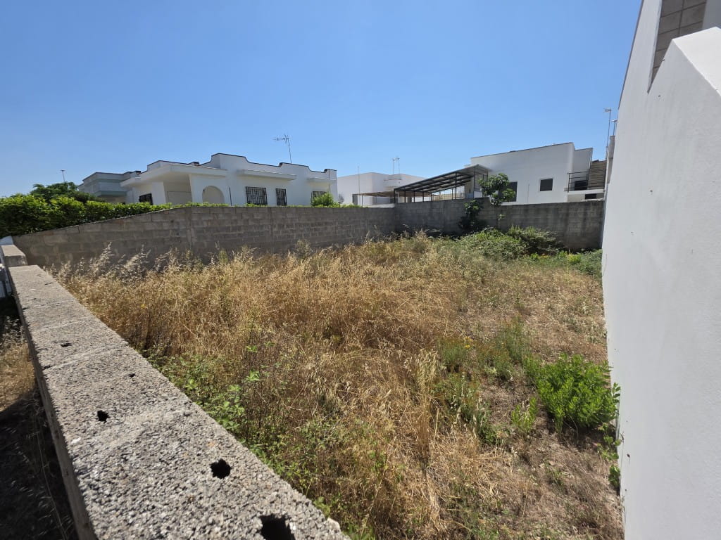 Giano Group Immobiliare